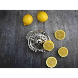 HIT Lis na citrusy nerez HT-22090878