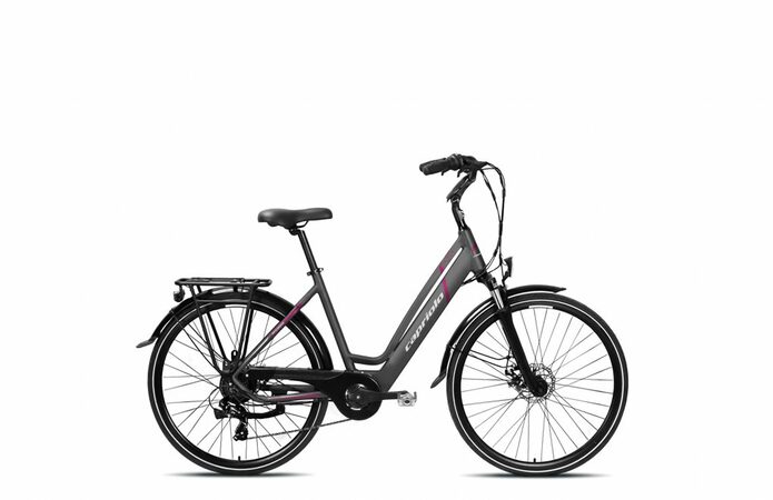 Elektrokolo Capriolo E-City Lady 28 E-BIKE šedá