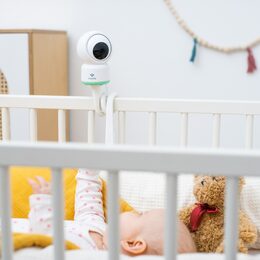 TrueLife NannyCam holder