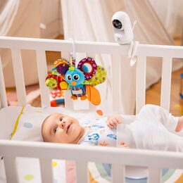 TrueLife NannyCam holder