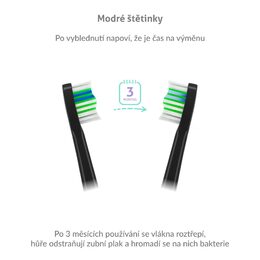 TrueLife SonicBrush Compact Heads Black Standard