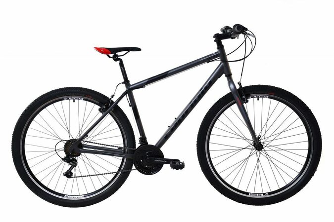 Horské jízdní kolo Capriolo LC 9.0 MTB 29"/21" šedo-černé 2024