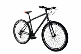 Horské jízdní kolo Capriolo LC 9.0 MTB 29"/21" šedo-černé 2024