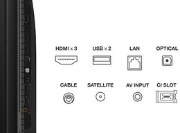 TCL 43C655