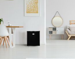Mini mrazák - černý - PRIMO PR117DV, Objem: 33 l, Třída: E