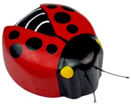 2Kids Toys Dřevěná magnetka velká Beruška
