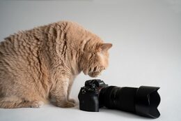 Objektiv Tamron 50-300 mm F/4,5-6.3 Di III VC VXD pro Sony FE