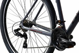 Horské jízdní kolo Capriolo LC 9.1 MTB 29"/21" šedo - červené 2024