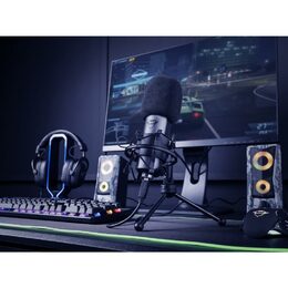 Mikrofon Trust GXT 242 Lance - černý