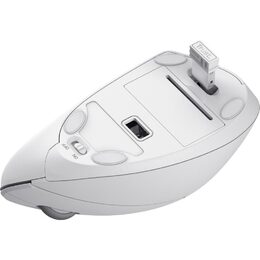 Myš Trust Verto Ergonomic Wireless / optická/ 6 tlačítek/ 1600DPI - bílá