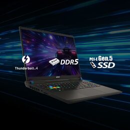 Ntb MSI Vector 16 HX A13VHG-458XCZ i9-13980HX, 16", RAM 32GB, SSD 1024 GB, NVIDIA® GeForce RTX™ 4080- 12GB, bez OS - šedý