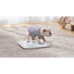 Xiaomi Mi Smart Scale White 2