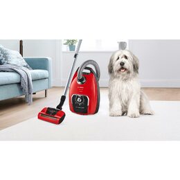 Bosch BGB8PET1