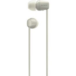 Sony WIC100C.CE7 grey