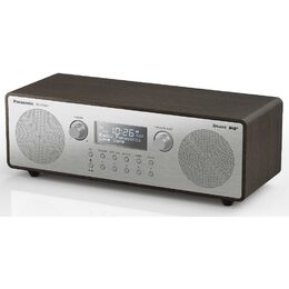 Panasonic RF-D100BTEGT
