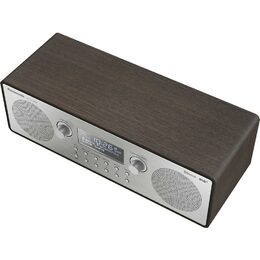 Panasonic RF-D100BTEGT