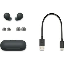 Sony WFC700N Black