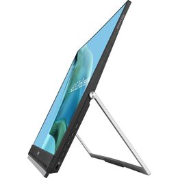 ASUS ZenScreen MB249C (90LM0865-B01170)