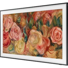 Samsung QE65LS03D QLED