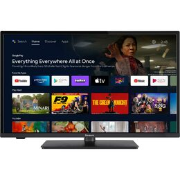 Panasonic TV TX-32MS480E LED/32"/HD/3xHDMI/2xUSB/RJ-45/WiFi/BT/Android