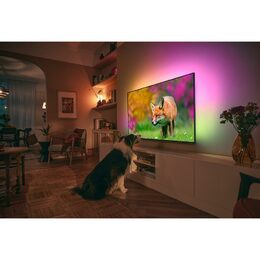 Philips TV 65PUS8818/12