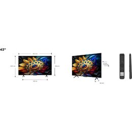 43C69B QLED TV Direct LED TCL