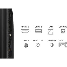 55C69B QLED TV Direct LED TCL
