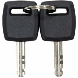 Evolveo StrongVision LOCK, lanový zámek