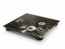 Laica Digitální osobní váha s USB, PS1080L