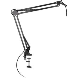 Streaming Boom Arm Microphone ENDORFY