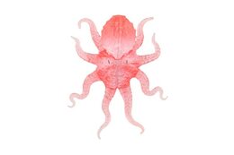 Chobotnice antistresová pevné tělo plast/silikon 15x19cm 4 barvy na kartě