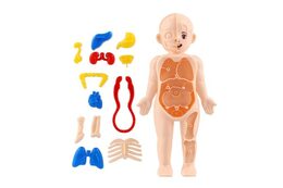 Lidské tělo stavebnice hlavolam plast 19cm s doplňky v krabičce 9x19x4,5cm