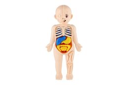 Lidské tělo stavebnice hlavolam plast 19cm s doplňky v krabičce 9x19x4,5cm