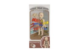 Lidské tělo stavebnice hlavolam plast 19cm s doplňky v krabičce 9x19x4,5cm