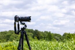 Objektiv Tamron 50-400 mm F/4.5-6.3 Di III VC VXD pro Nikon Z
