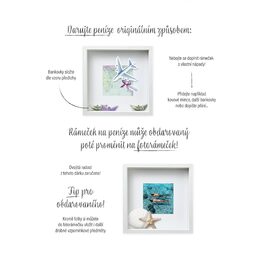 Fotorámeček na peníze - Cestování