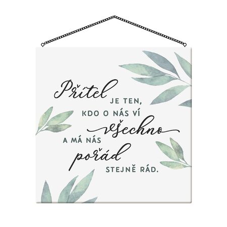 Přítel je ten, kdo o nás ví všechno
