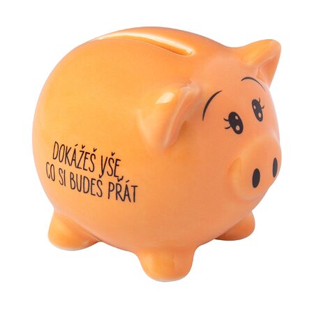Dokážeš vše, co si budeš přát