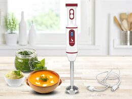 Beper P102FRU300 nabíjecí tyčový mixér 60W USB