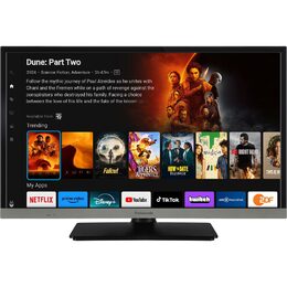 TB 24S40AEZ LCD TV PANASONIC