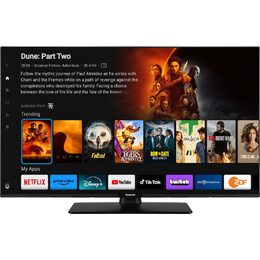 TB 43W60AEZ LED TV PANASONIC