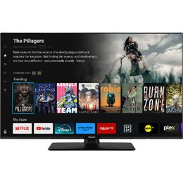 TB 43W60AEZ LED TV PANASONIC
