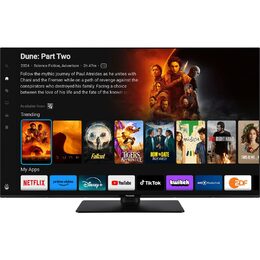 TB 50W60AEZ LED TV PANASONIC
