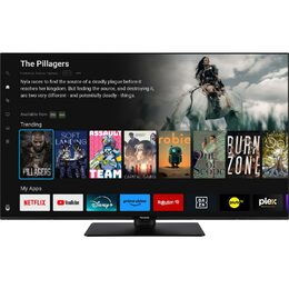 TB 50W60AEZ LED TV PANASONIC