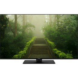 TB 50W60AEZ LED TV PANASONIC