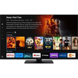 TB 55W60AEZ LED TV PANASONIC