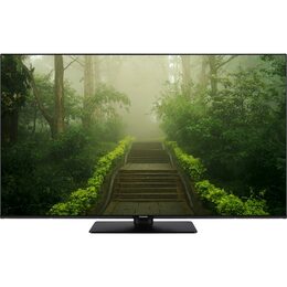 TB 55W60AEZ LED TV PANASONIC