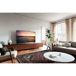 TV 55W93AE6 LED TV PANASONIC