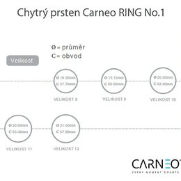Smart ring NO 1 size 10 CARNEO