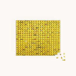 Chronicle Books Puzzle LEGO® Obličeje minifigurek 1000 dílků